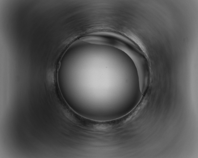 X0000093260105200710031611