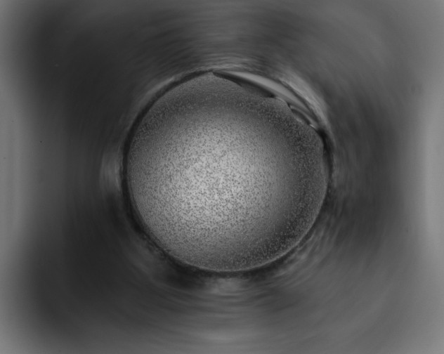 X0000093260107200710031611