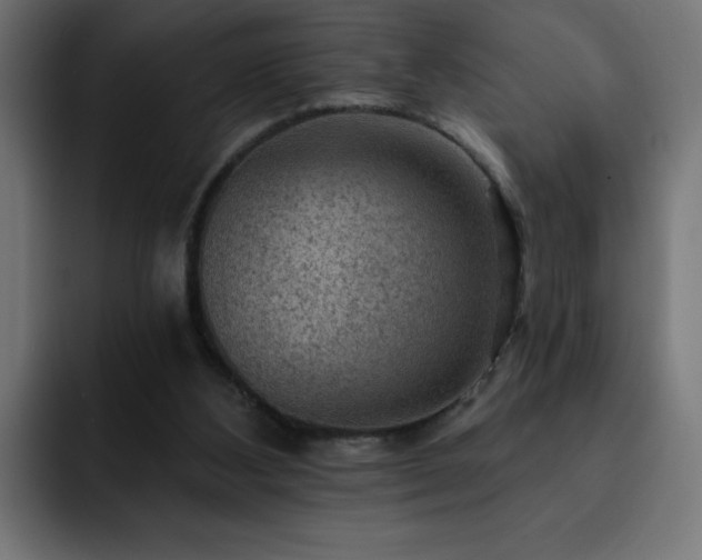 X0000093260108200710031611