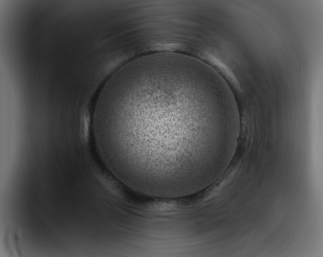 X0000093260110200710031611