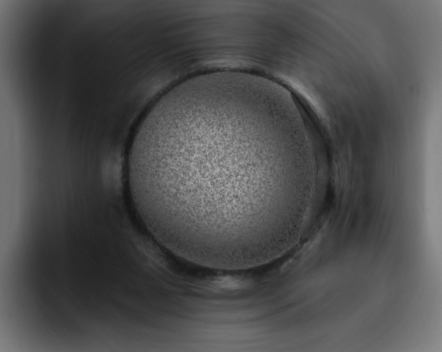 X0000093260111200710031611