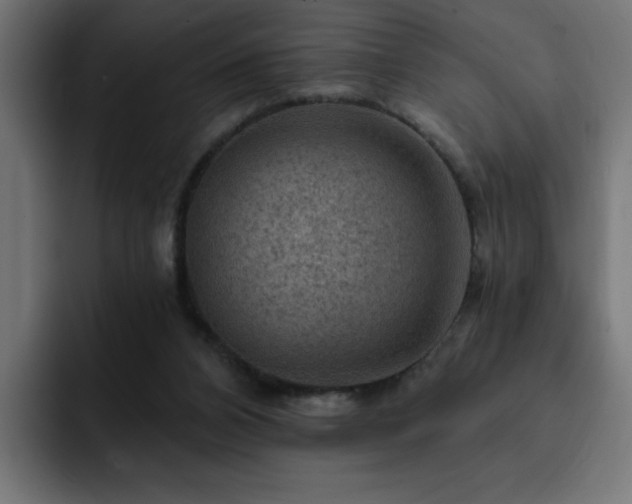 X0000093260112200710031611