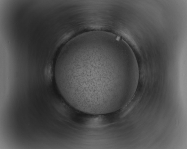 X0000093260116200710031611