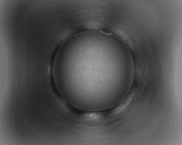 X0000093260117200710031611