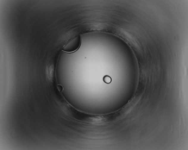 X0000093260118200710031611