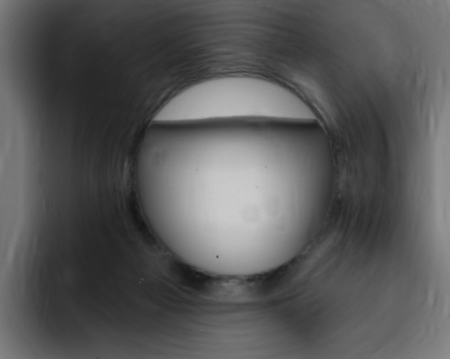 X0000093260121200710031611