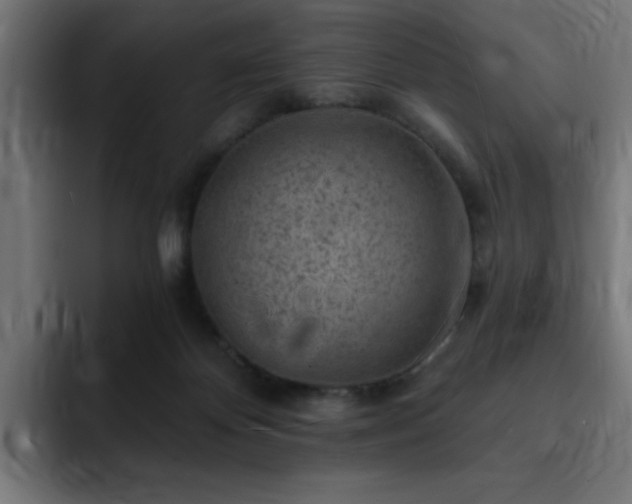 X0000093260124200710031611