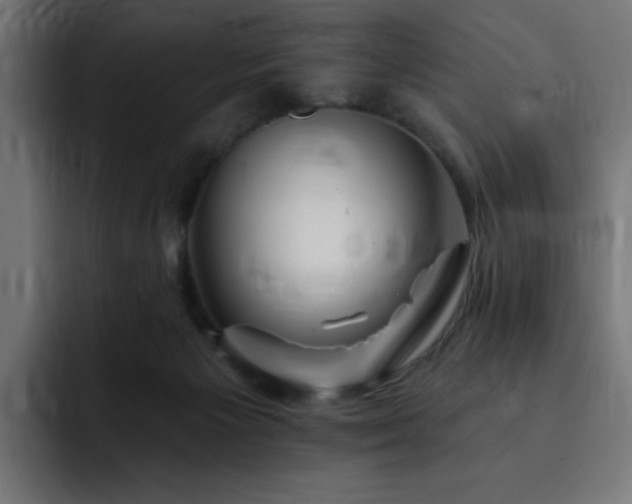 X0000093260125200710031610