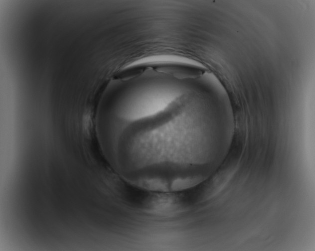 X0000093260127200710031610