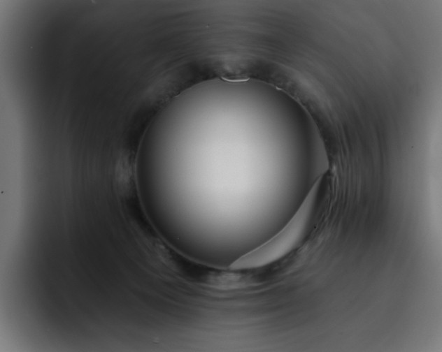 X0000093260129200710031610