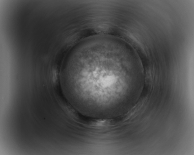 X0000093260130200710031610