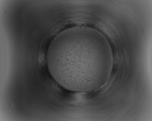 X0000093260136200710031610