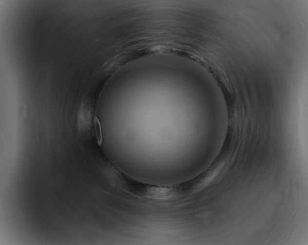 X0000093260139200710031610