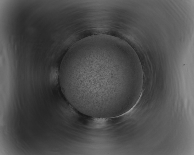 X0000093260144200710031610