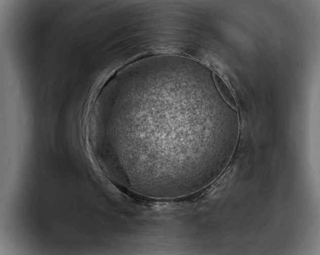 X0000093260145200710031610