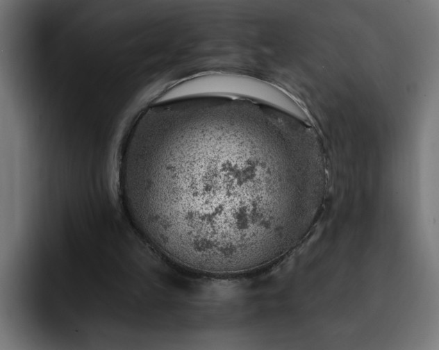 X0000093260149200710031610