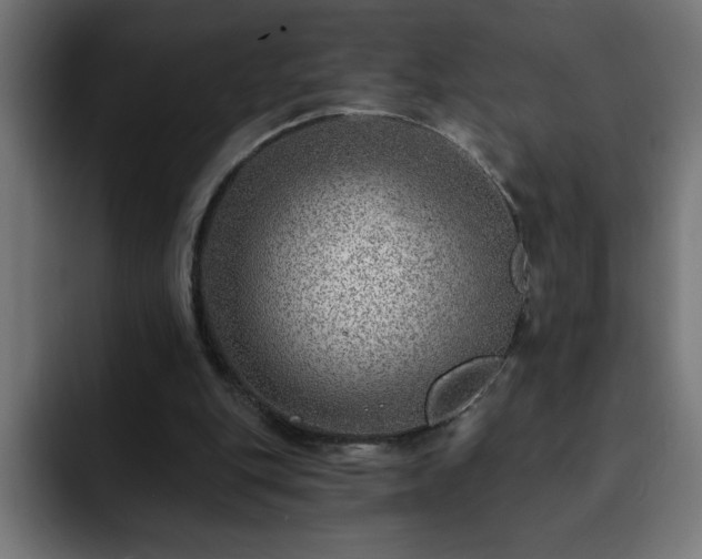 X0000093260151200710031610