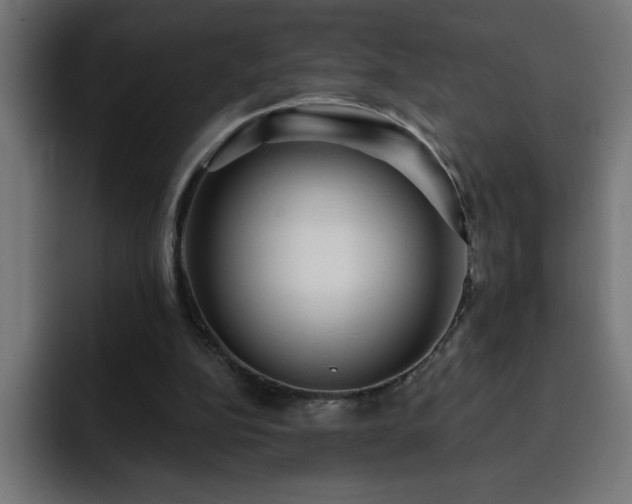 X0000093260152200710031610