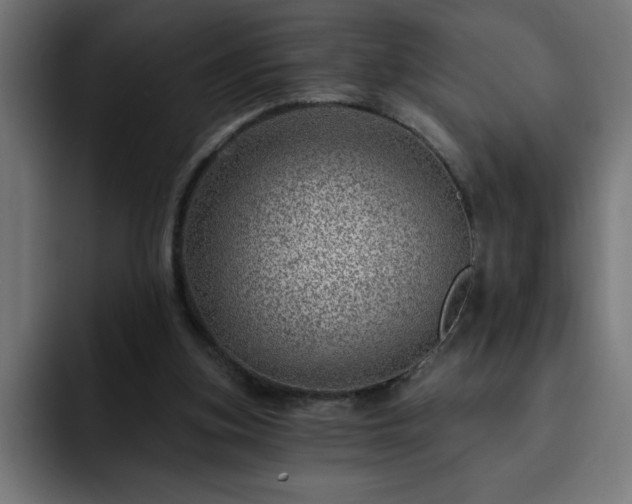 X0000093260155200710031610