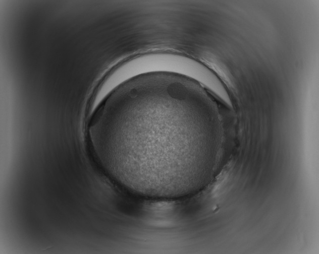 X0000093260156200710031610