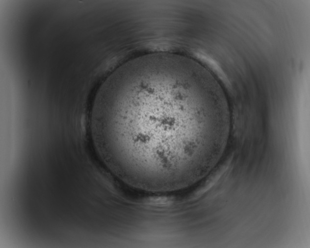 X0000093260161200710031610