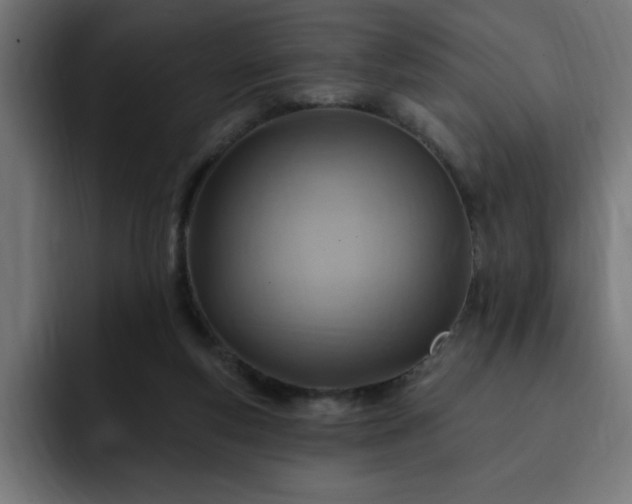 X0000093260163200710031610