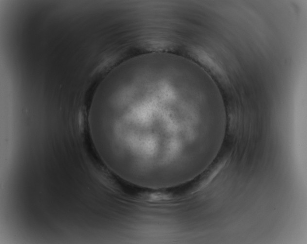 X0000093260165200710031610