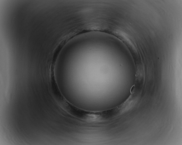 X0000093260167200710031610