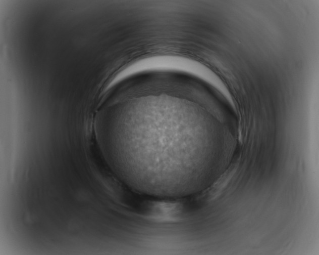 X0000093260168200710031610