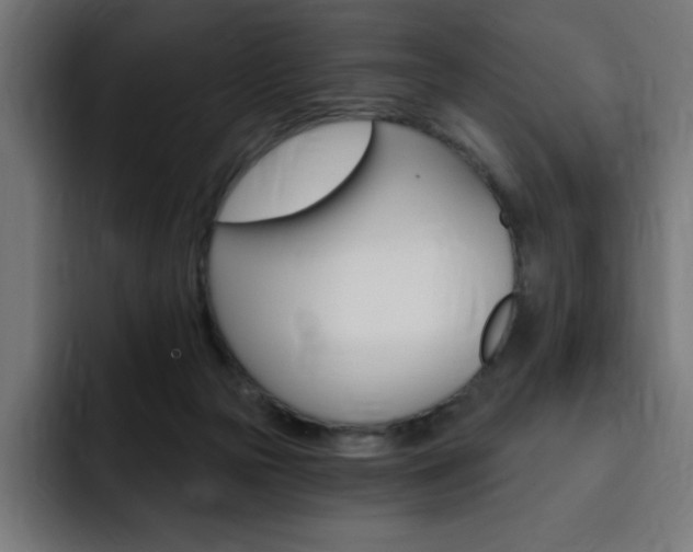 X0000093260169200710031610