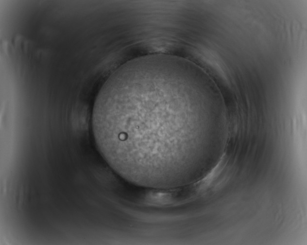 X0000093260174200710031610