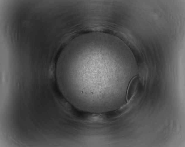 X0000093260175200710031610