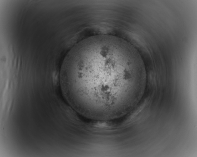 X0000093260177200710031610