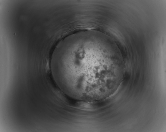 X0000093260182200710031610