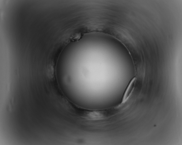 X0000093260183200710031610