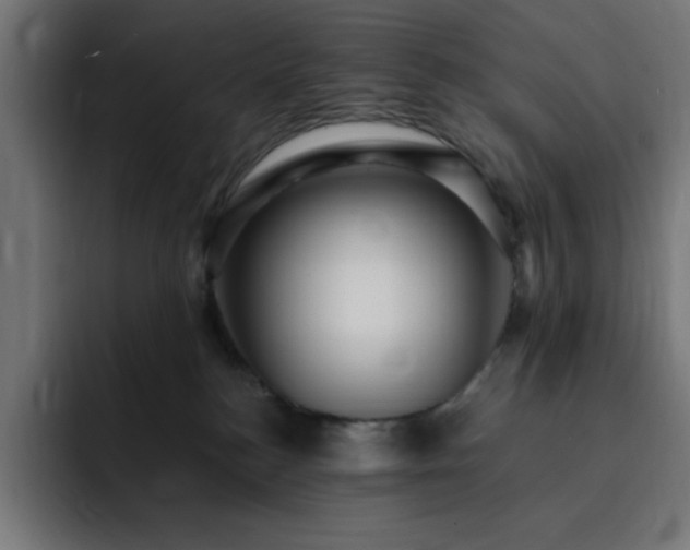 X0000093260184200710031610