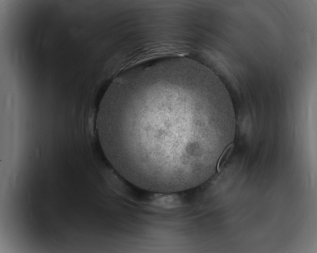 X0000093260185200710031610