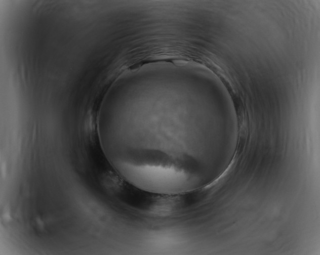 X0000093260191200710031610