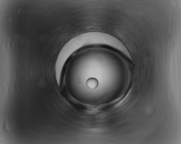 X0000093260192200710031610