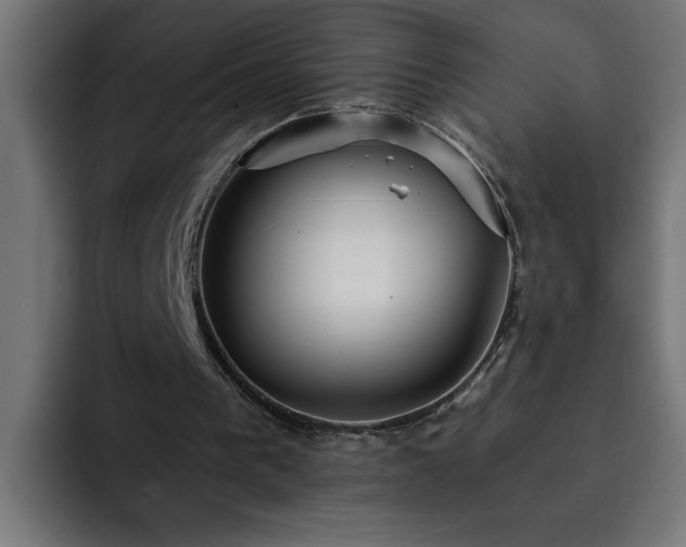 X0000093260193200710031610