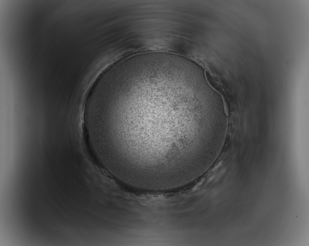 X0000093260194200710031610