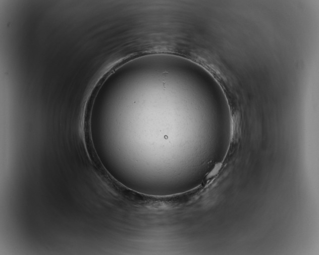 X0000093260195200710031610