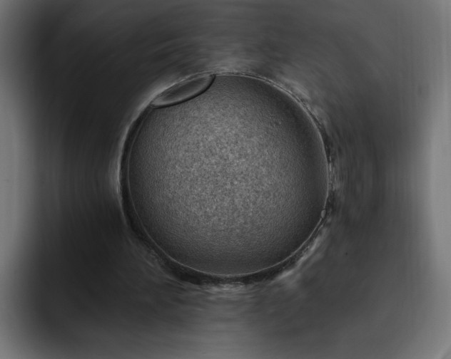 X0000093260196200710031610