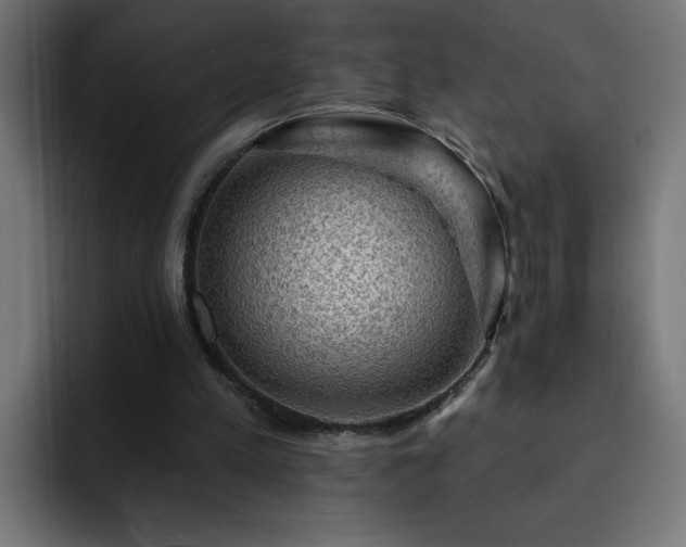 X0000093260197200710031610