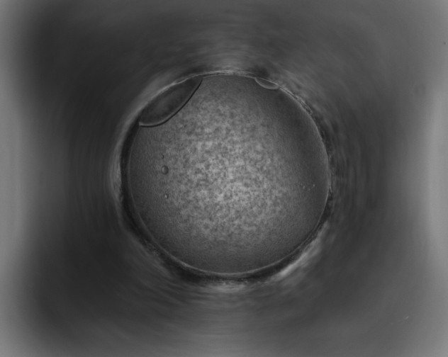 X0000093260198200710031610