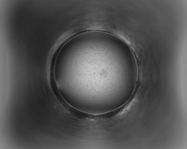 X0000093260199200710031610