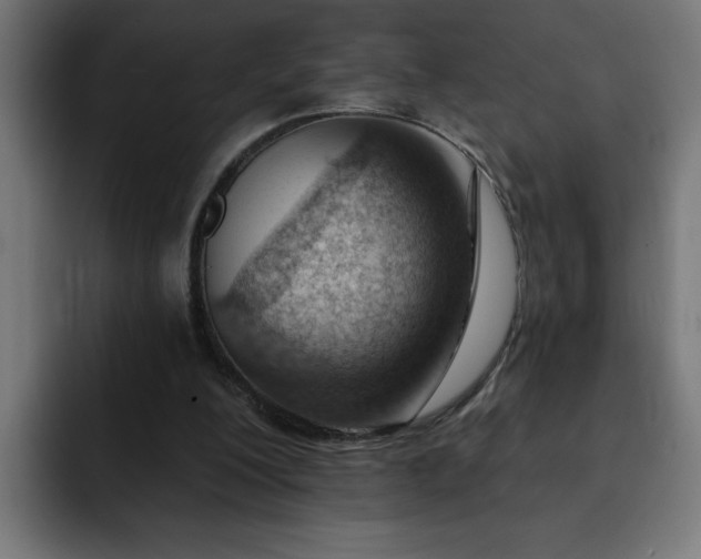 X0000093260200200710031610