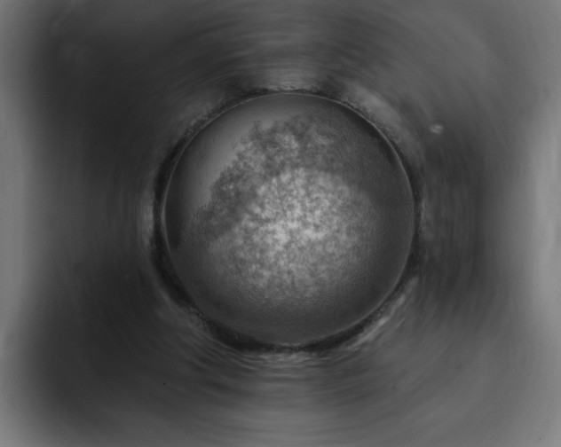 X0000093260202200710031610