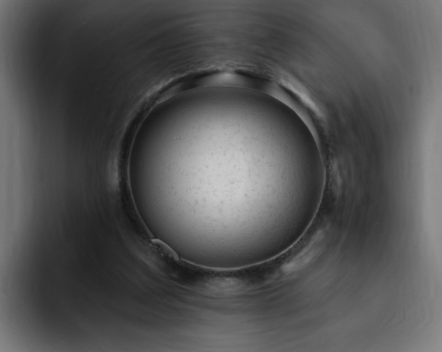 X0000093260203200710031610