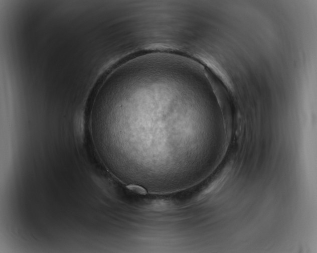 X0000093260204200710031610